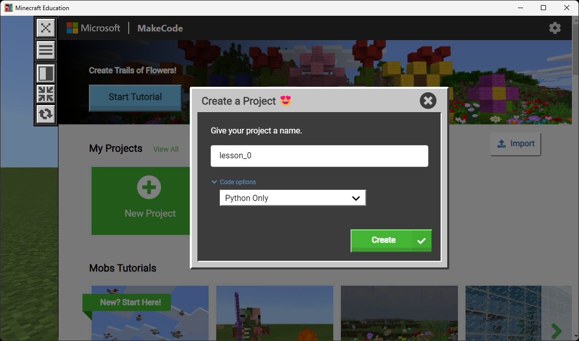 Create a Project dialog with name lesson_0 and Code options set to Python Only
